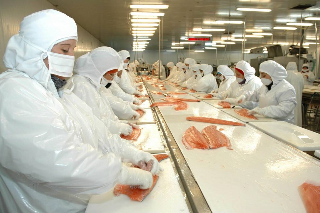 Corte salmão Panorama do Mercado de Pescados